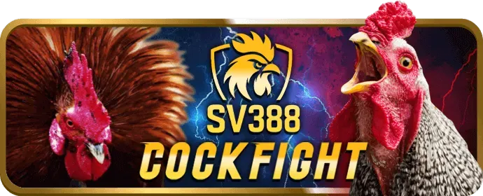Ưu đãi hấp dẫn tại bj99 link mới